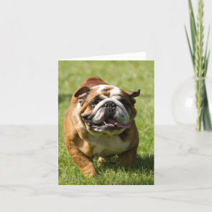 Cartão Happy Bulldog Running in Grass