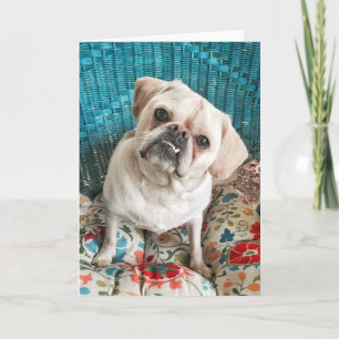 Cartão Happy Dog Greeting Card