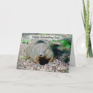 Cartão Happy Groundhog Day Card