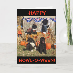 Cartão Happy Howl-O-Ween! Bo and Sunny - Greeting Card