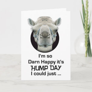 Cartão Happy Hump Day Funny Camel Spit