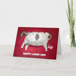 Cartão Happy Labor Day Funny Fat Cat