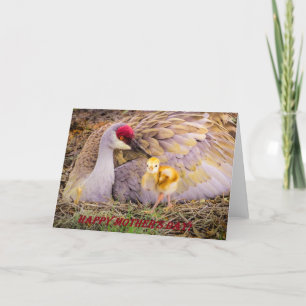 Cartão Happy Mother's Day!