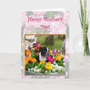 Cartão Happy Mother's day Boston Terrier greeting card