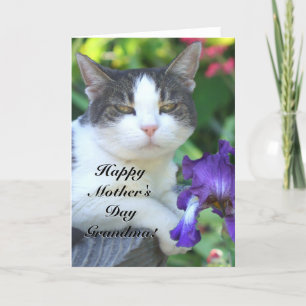 Cartão Happy Mother's day Grandma Cat in the garden card