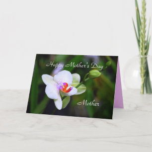 Cartão Happy Mother's Day Mother Phalaenopsis Orchid Card