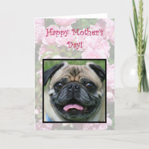 Cartão Happy Mother's Day Pug Dog