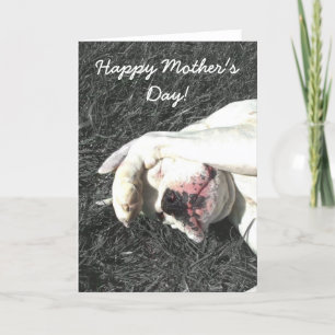 Cartão Happy Mother's Day White boxer greeting card