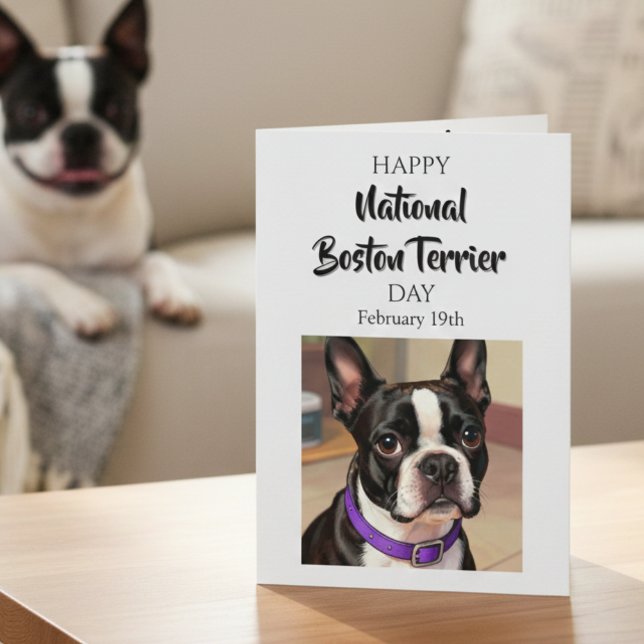 Cartão Happy National Boston Terrier Day | Feb 19th (Criador carregado)