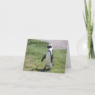 Cartão Happy Penguin Birthday card!