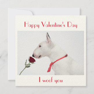 Cartão Happy Valentine's Day Bull Terrier with a Rose
