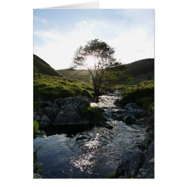 Cartão Happy Valley Northumberland, Inglaterra (Frente)