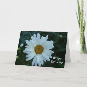 Cartão HappyBirthday-Daisy