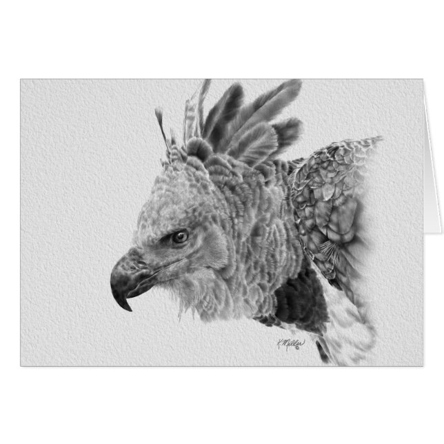 Cartão Harpy Eagle Drawing (Frente Horizontal)