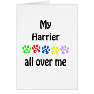 Cartão Harrier Walks Design