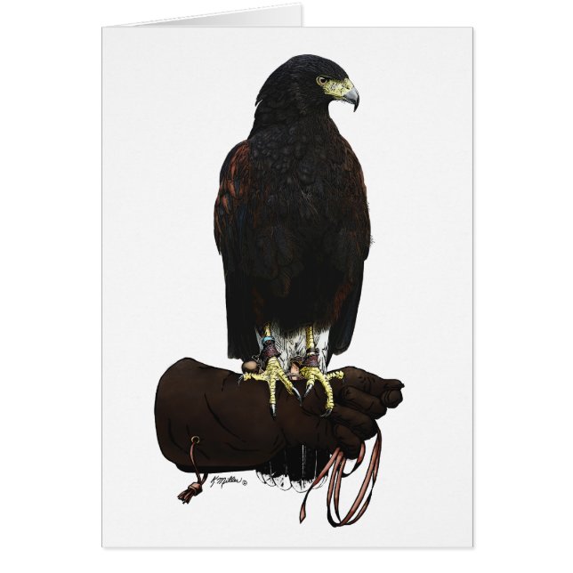 Cartão Harris Hawk em Glove (Frente)