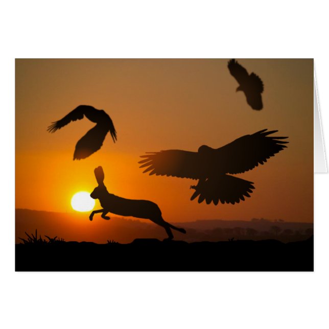 Cartão Harris Hawks (Frente Horizontal)