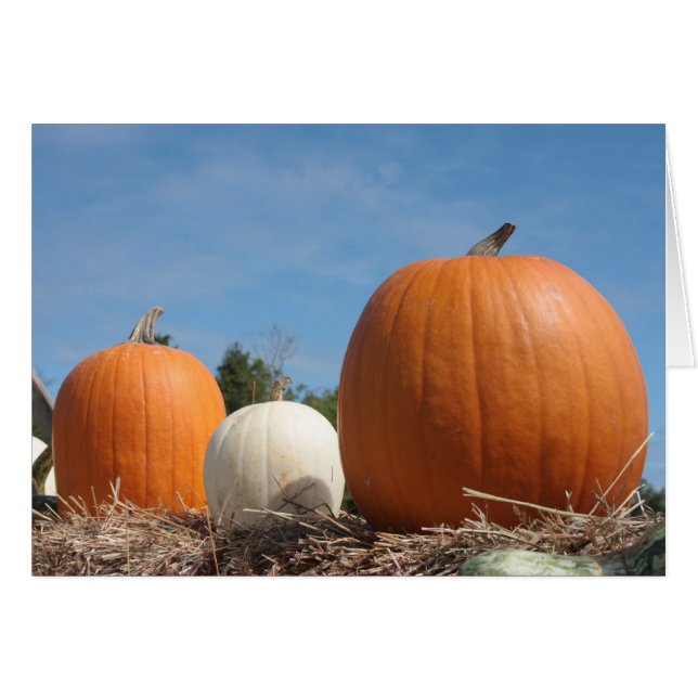 CARTÃO HARVEST TIME!! (Frente Horizontal)