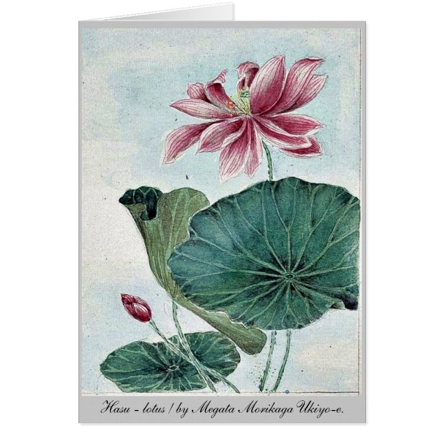 Cartão Hasu - lótus/por Megata Morikaga Ukiyo-e. (Frente)