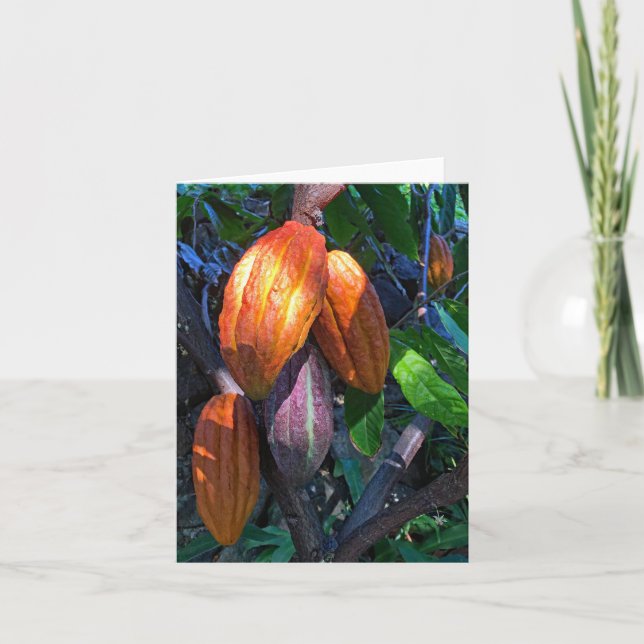 Cartão Havaiano Cacao (Frente)