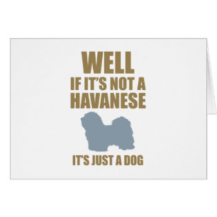 Cartão Havanese