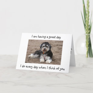 CARTÃO HAVANESE IS HAVING A GREAT DAY-TWIN'S BIRTHDAY