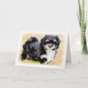 Cartão Havanese Puppy Greeting Cards