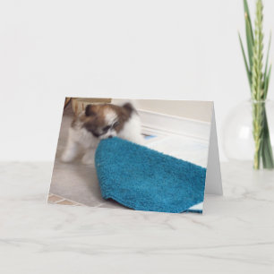 Cartão Havanese Puppy moving his rug