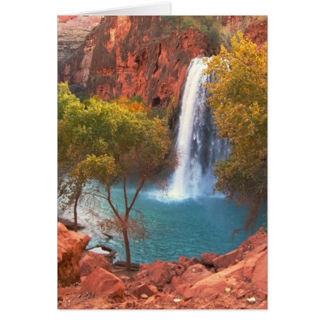 Cartão Havasu Falls Waterfall, Sudoeste (Frente)