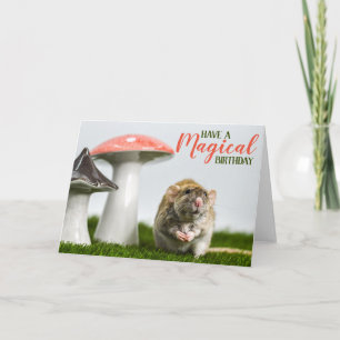 Cartão Have a Magical Birthday