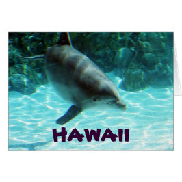 Cartão Hawaii Dolphin