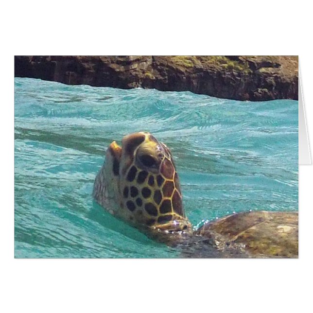 Cartão Hawaii Honu Turtle (Frente Horizontal)