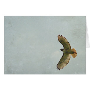Cartão Hawk