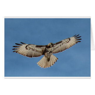 Cartão Hawk