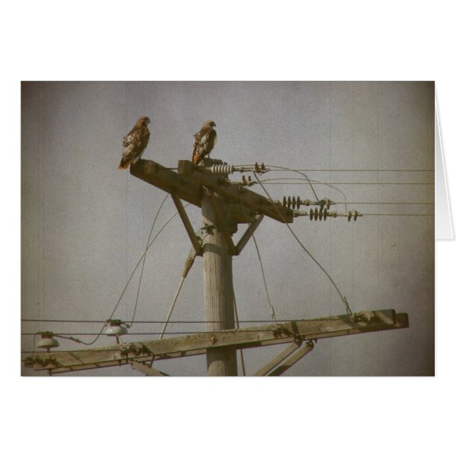 Cartão Hawk Power (Frente Horizontal)