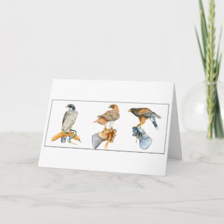 Cartão Hawking Stuking Birthday Card