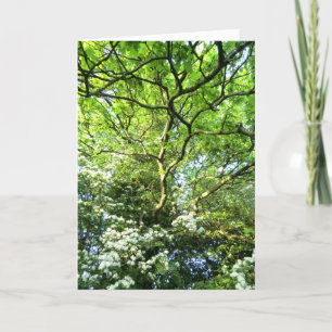 Cartão Hawthorn and Oak Handfasting Card
