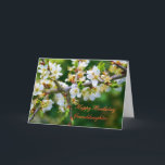 Cartão Hawthorn Sun-Dappled neta do primavera do<br><div class="desc">Série floral: Uma foto bonita e delicada de um sprig do hawthorn,  cheio da flor do primavera. 
Na língua das flores,  o hawthorn representa a esperança. 



código da imagem: hrflo29</div>