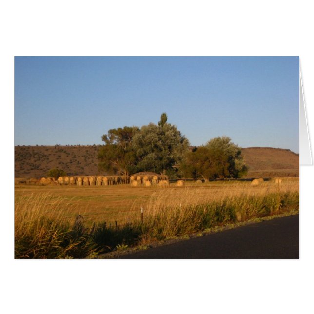 Cartão Hay (Frente horizontal)