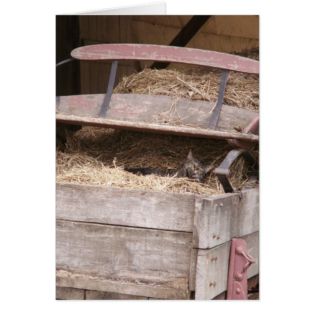 Cartão Hay Wagon (Frente)