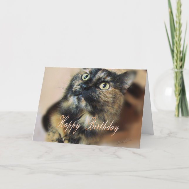 Cartão HBD-Tazzie 9055 (Frente)