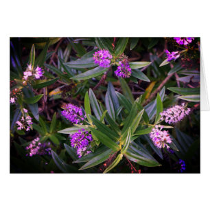 Cartão Hebe Mauve Fingers Card