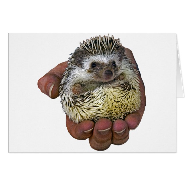 Cartão Hedgehog (Frente Horizontal)