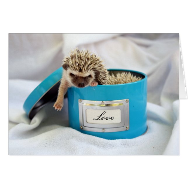 Cartão Hedgehog Love (Frente horizontal)