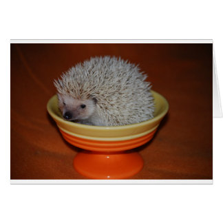 Cartão Hedgehog Sundae