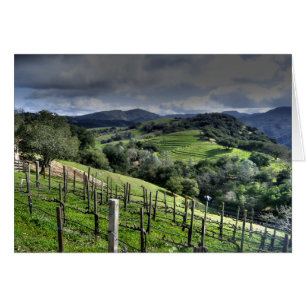 Cartão Helena, Vineyard da Califórnia.