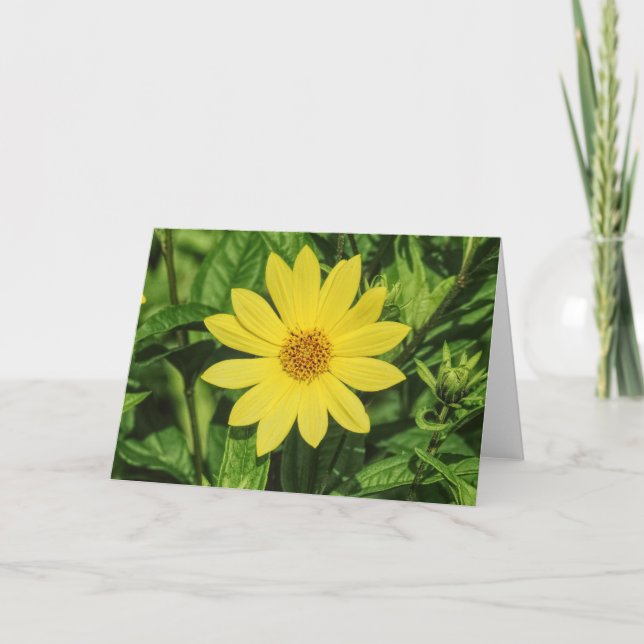 Cartão Helianthus 'Lemon Queen' Girassol (Frente)