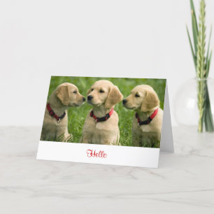 Cartão Hello Golden Retriever Puppies Blank Note Card