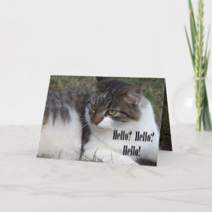Cartão Hello? Hello? Hello! (Cat) Cards