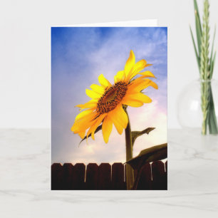 Cartão Hello Summer Greeting Card